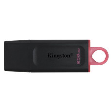 Флеш-накопитель USB Kingston Exodia DTX/256GB